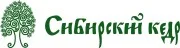 Сибирский кедр