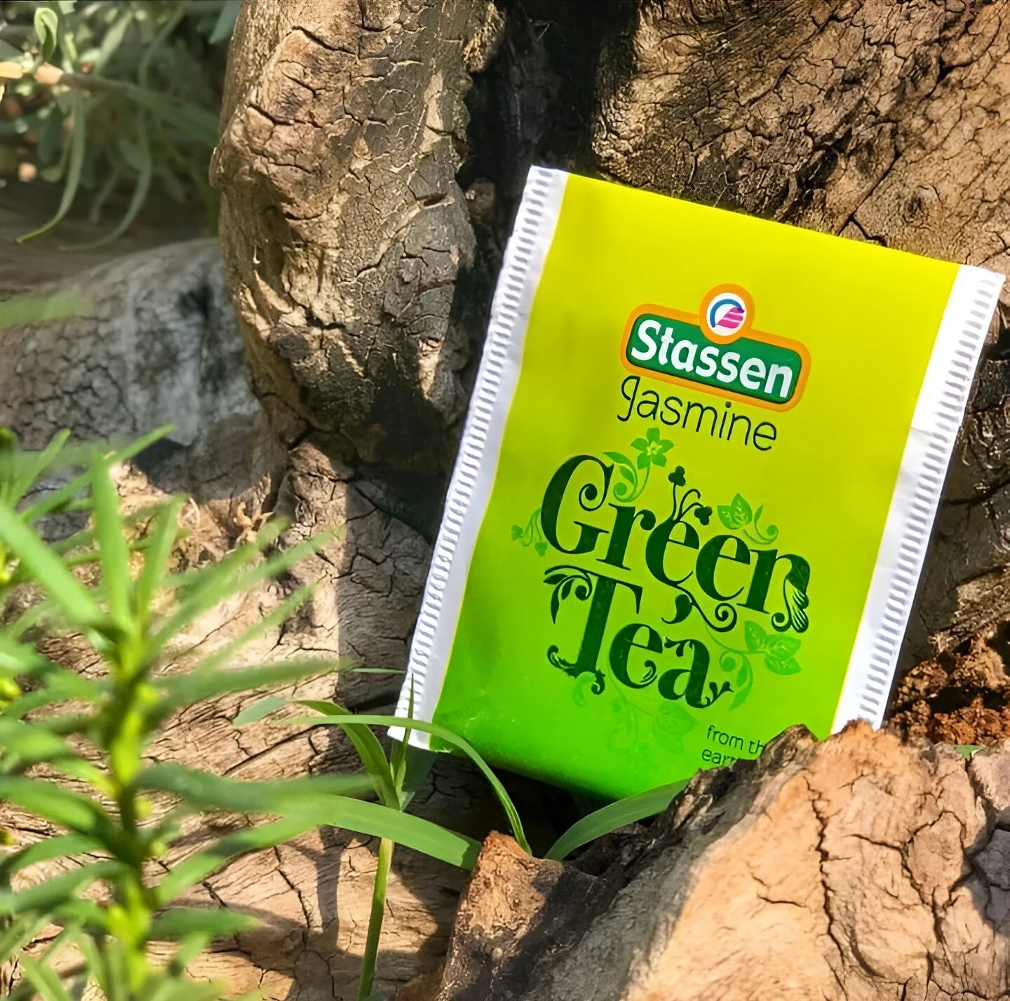 Stassen zaļā tēja ar jasmīna aromātu 25 tējas maisiņi