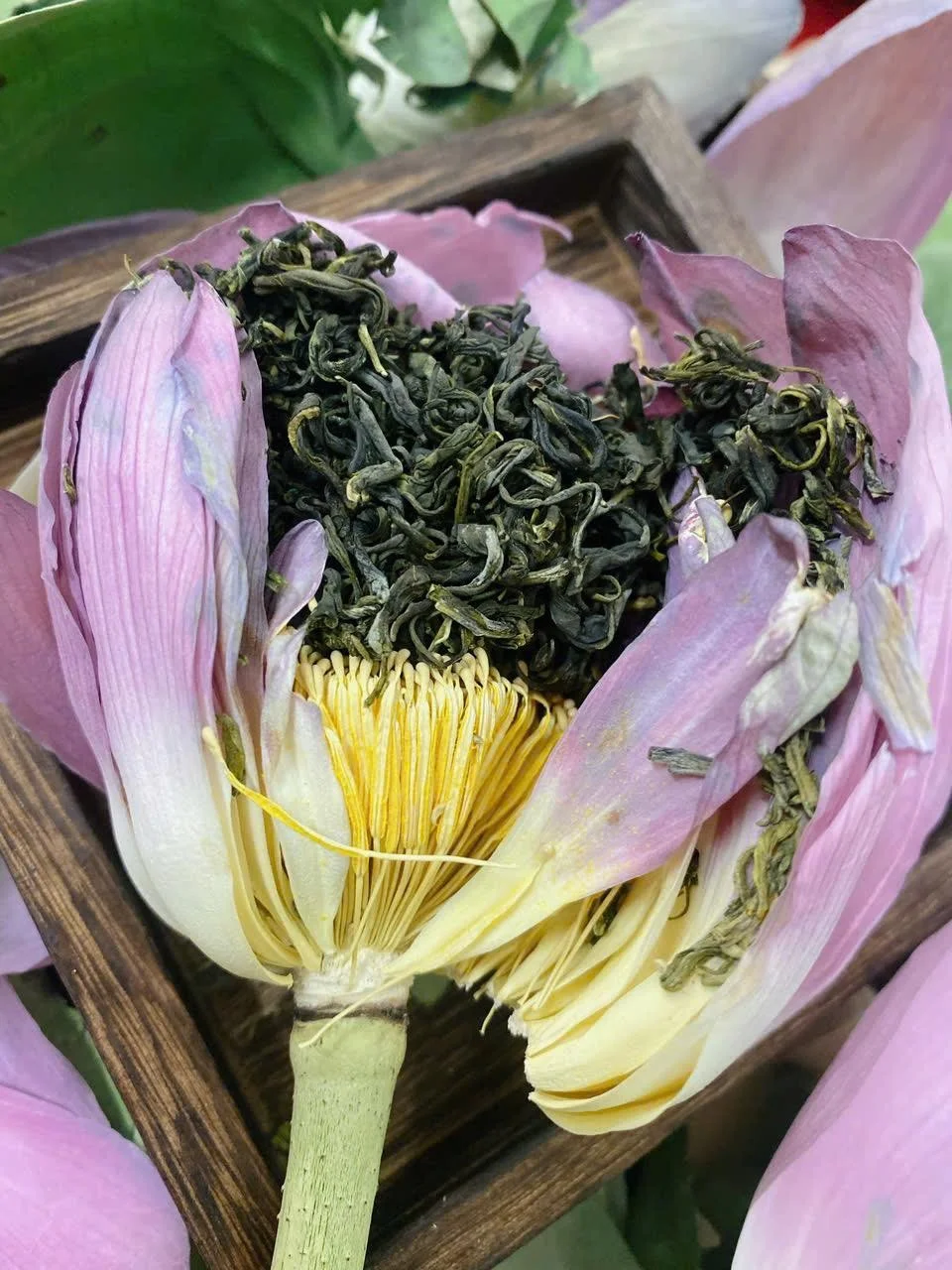 Zaļā tēja Lotosa ziedā “Ancient Tree” 80g Vjetnama