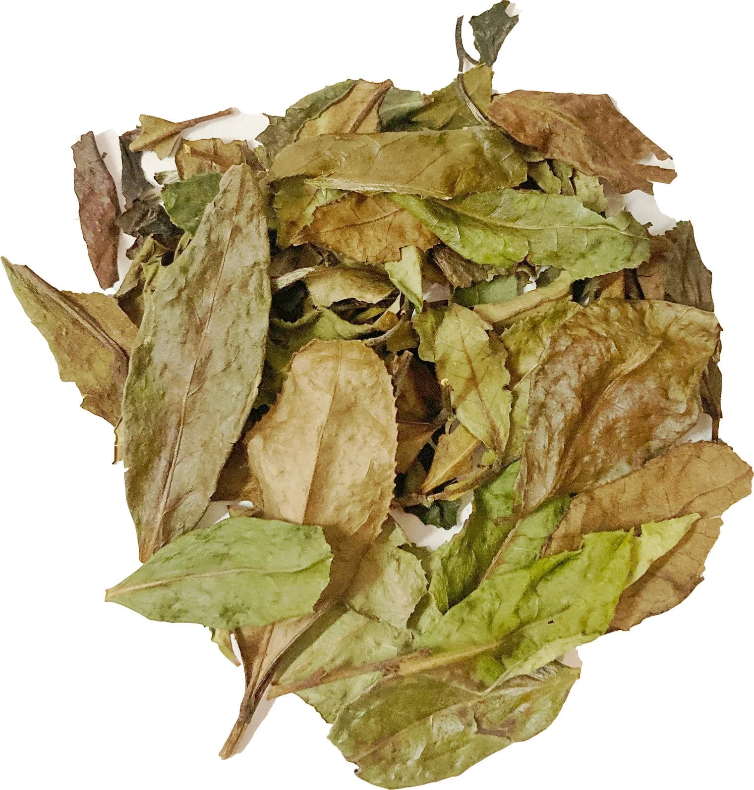 Long Man Tea Pai Mu Tan - Бай Му Дань Рассыпной Белый чай 20г