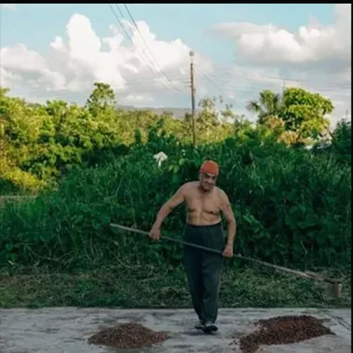 Tumša šokolāde Willie's Cacao - 88% San Agustin Gold Colombia 50g